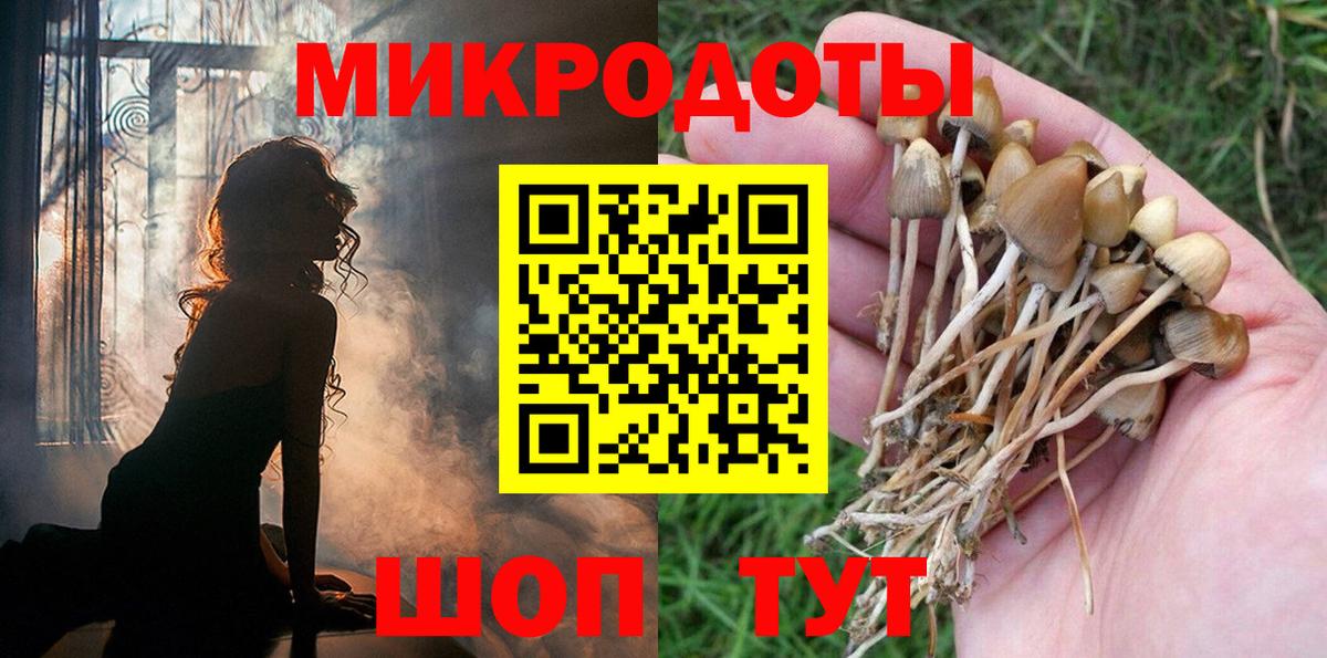 Галлюциногенные грибы мухоморы  Вход с VPN  Котовск 