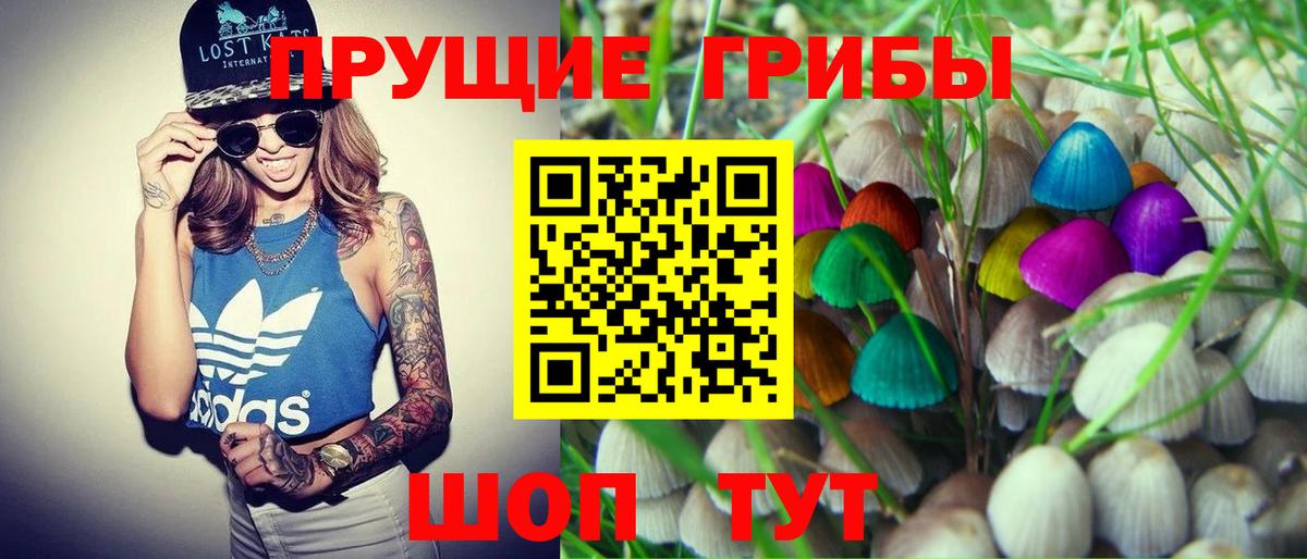 Галлюциногенные грибы мухоморы Котовск